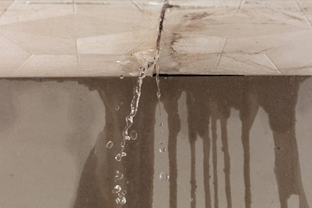 Professional Structural Drying technician working in Ulman, MO